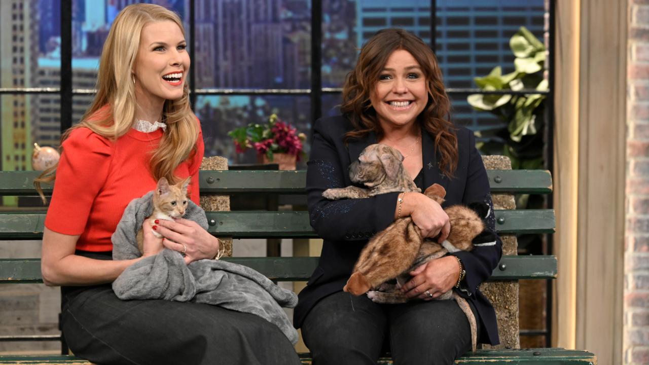 rachael ray kitten