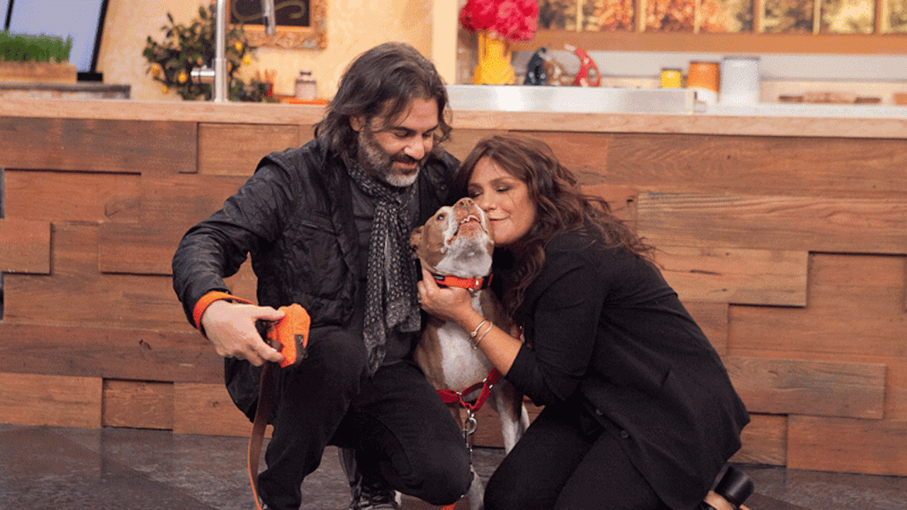 Rachael Ray s Dog Isaboo Died Rachael Ray Show