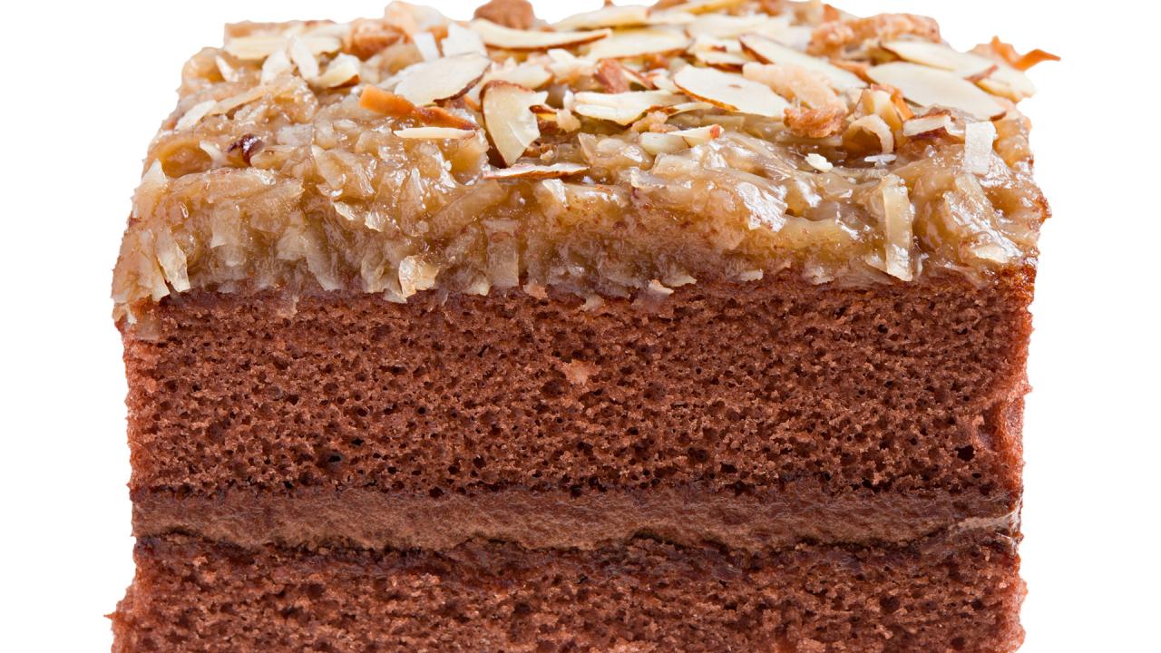 Chocolate Coconut Cake (Dairy Free) - Everyday Healthy Recipes