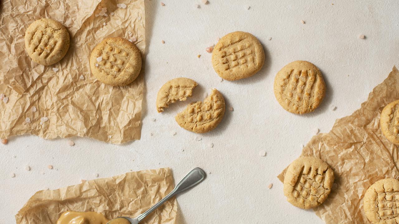 rachael ray homemade dog treats