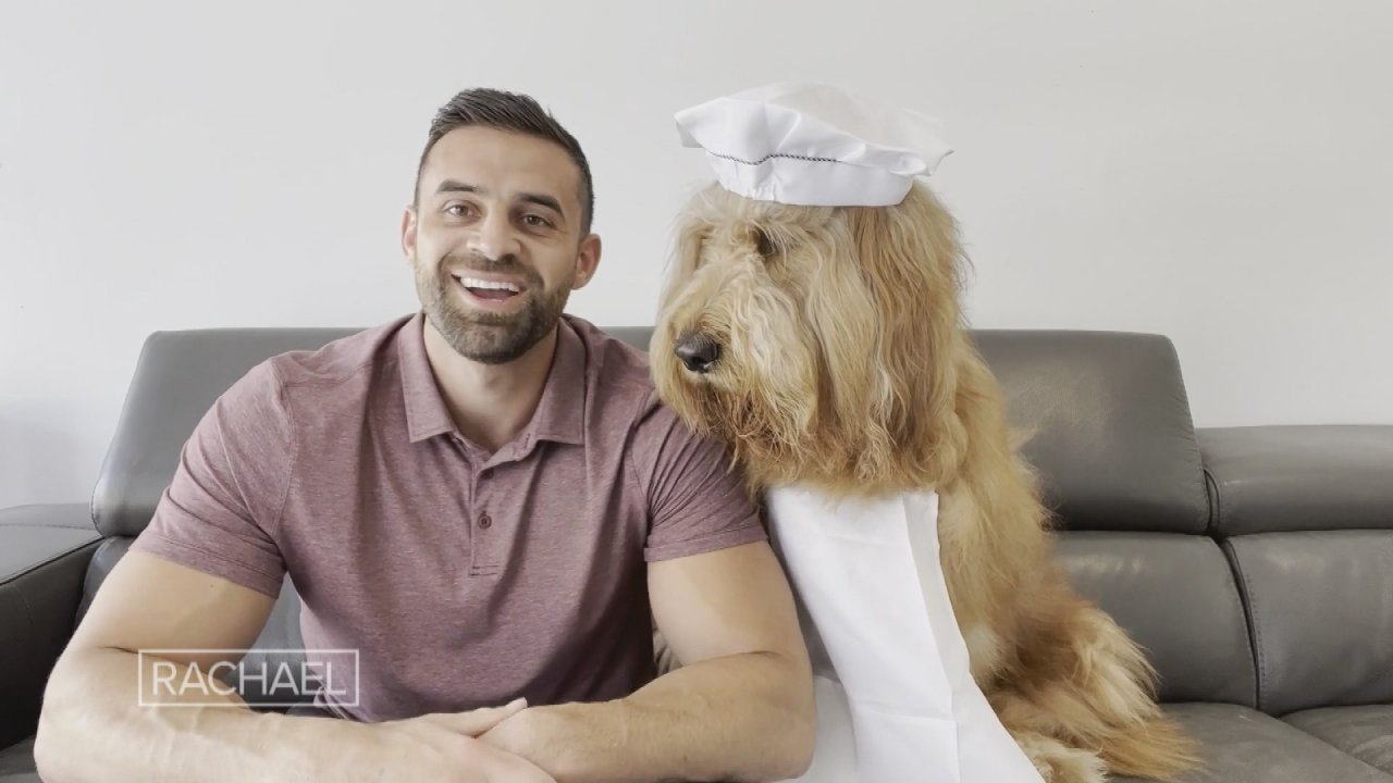 This Man His Dog Travel Around Sharing Their Adventures on Social Media to 4 Million Followers