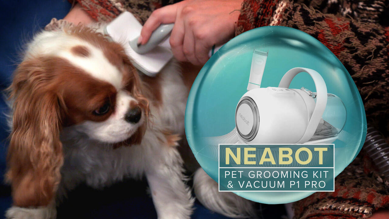 Best dog 2024 grooming vacuum