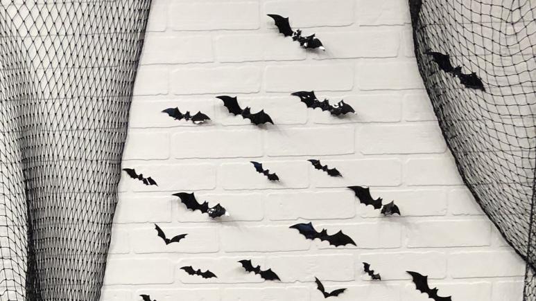halloween bat wall