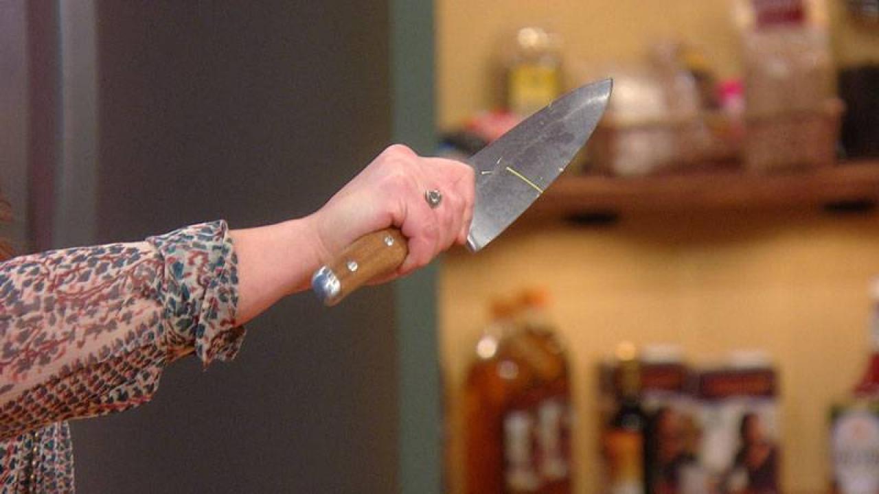 Rachael Ray Utility Knife