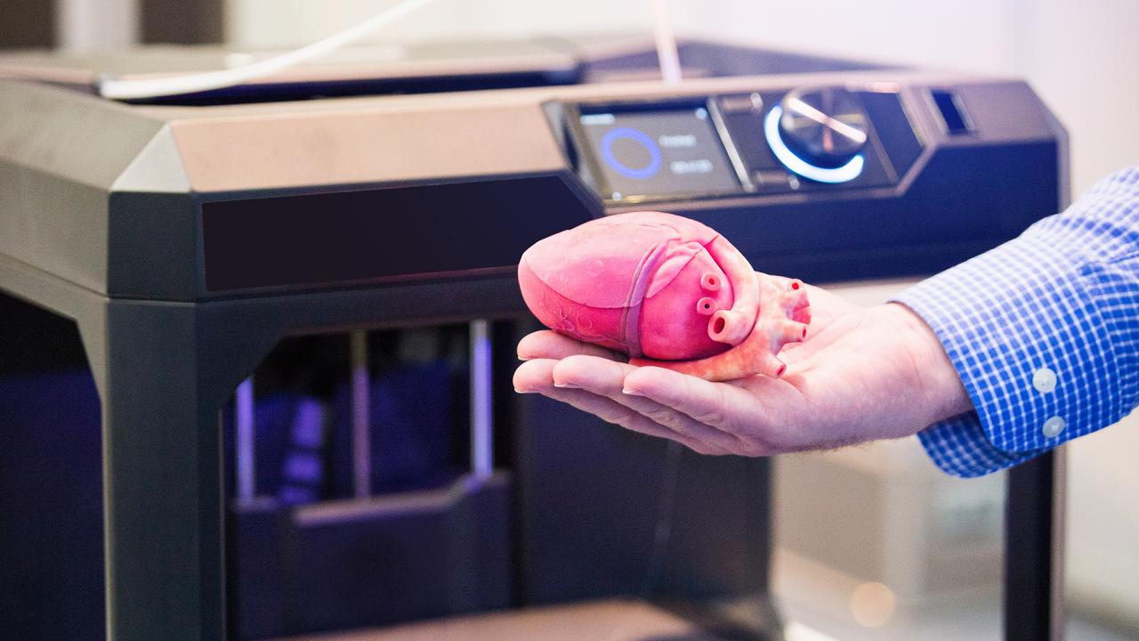 3D Printing Organs Explained Rachael Ray Show